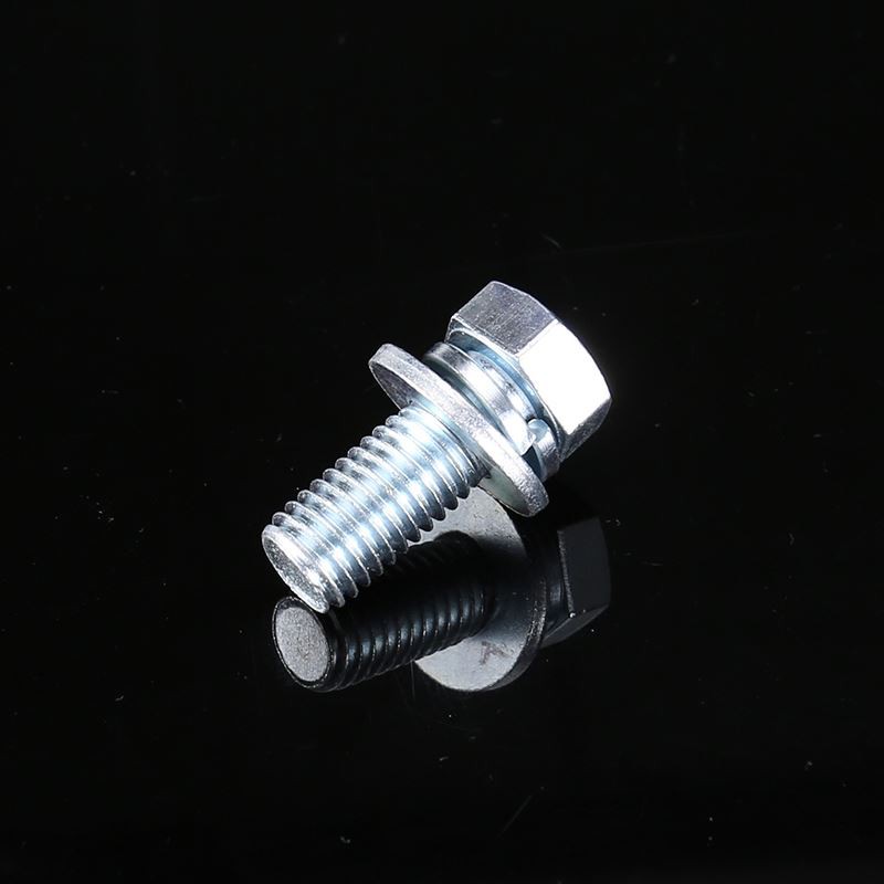 Hex Head with Flat Washer and Spring Washer Screw