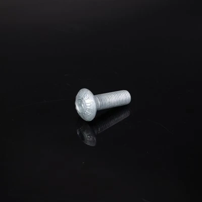 Round Head With Hex Socket Drive Guard Rail Bolt,HDG