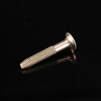 Bugle Head Decking Screw Floor Screw