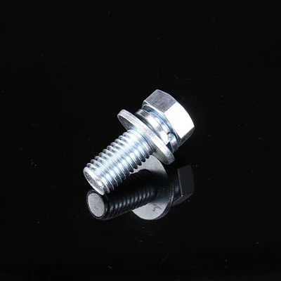 Hex Head with Flat Washer and Spring Washer Screw