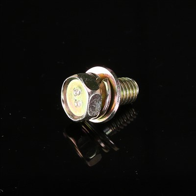 IND Head Screw With Spring And Flat Washer SEMS