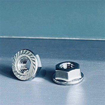 Stainless steel 304 DIN6923 Hex Flange Nut