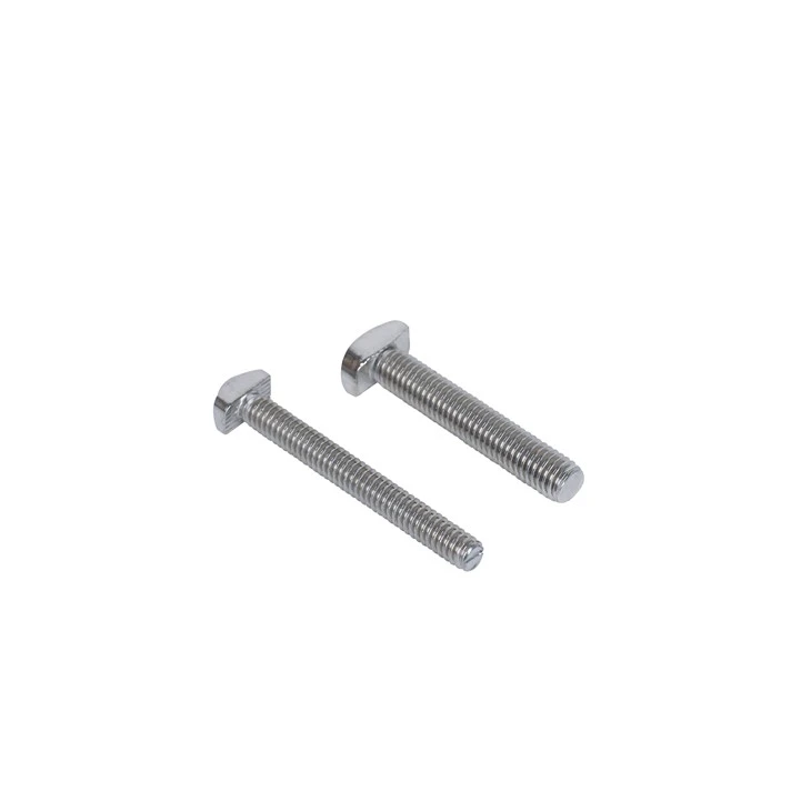 Stainless Steel Hammer Bolt T- Bolt